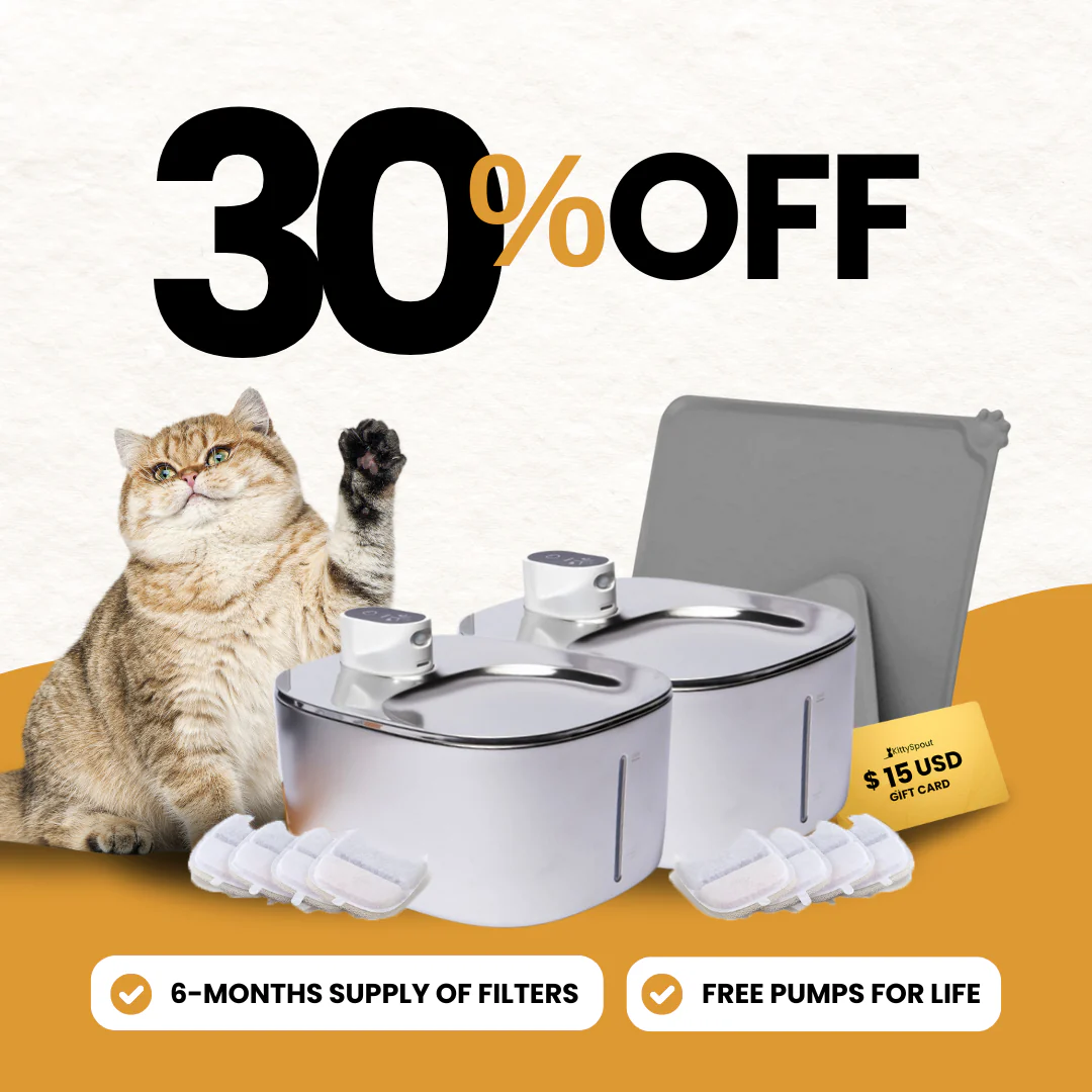 Cat Day Sale